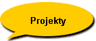 Projekty