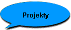 Projekty